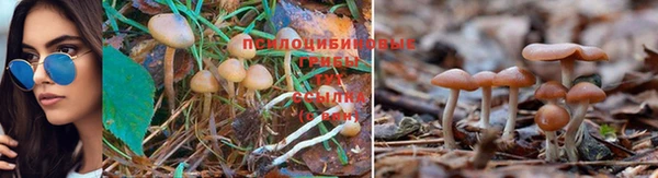 ALPHA-PVP Медногорск