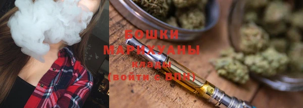 прущие грибы Медвежьегорск