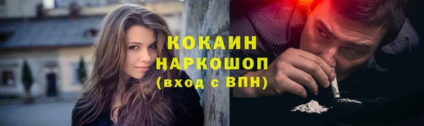 прущие грибы Медвежьегорск