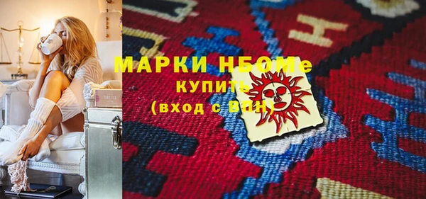 прущие грибы Медвежьегорск