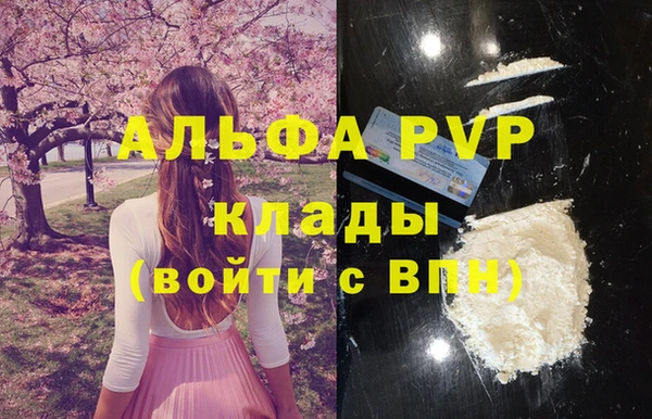 прущие грибы Медвежьегорск