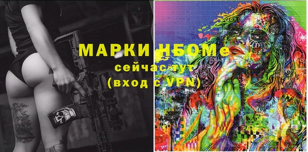 прущие грибы Медвежьегорск