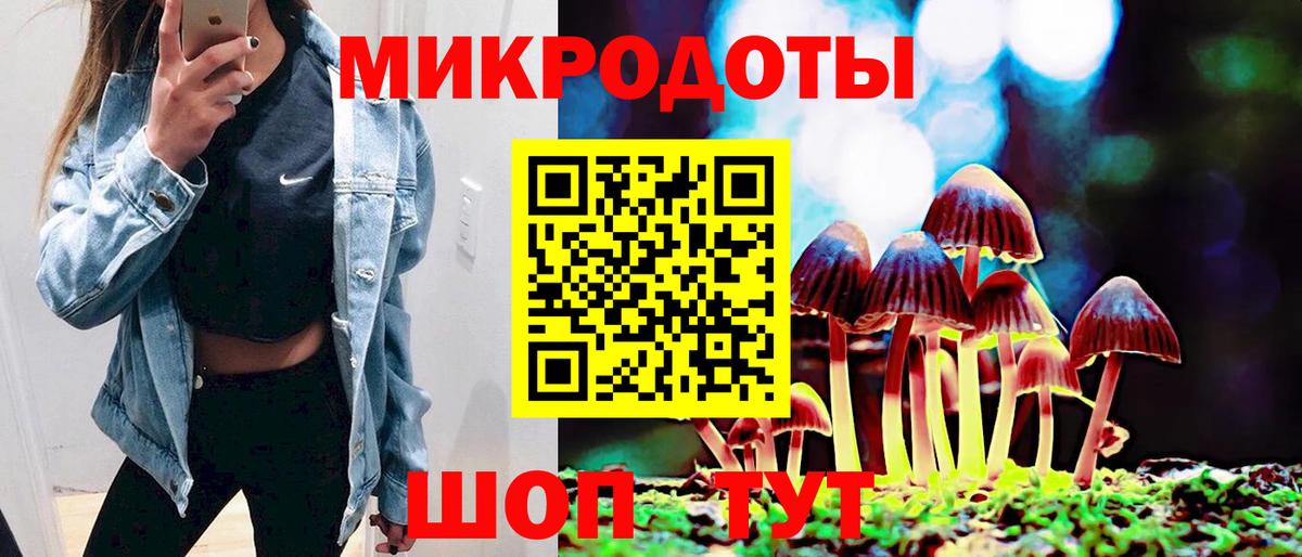 Псилоцибиновые грибы мицелий Туапсе